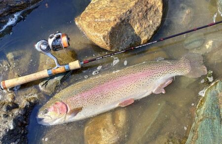 大型７本！ ～天竜川ルアーフライテンカラ専用区～